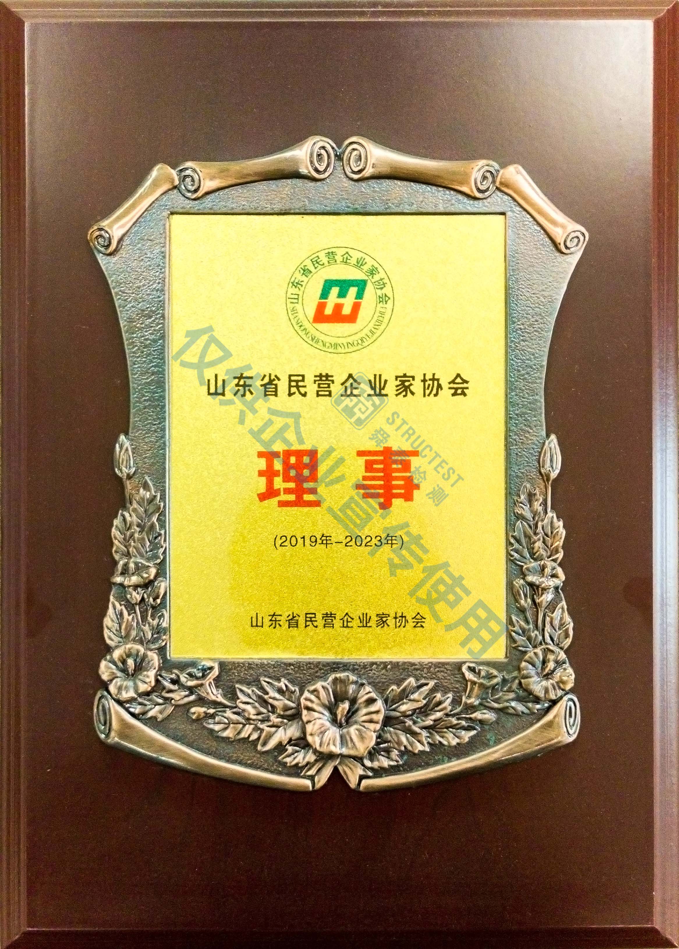 山東省民營(yíng)企業(yè)家協(xié)會(huì)理事