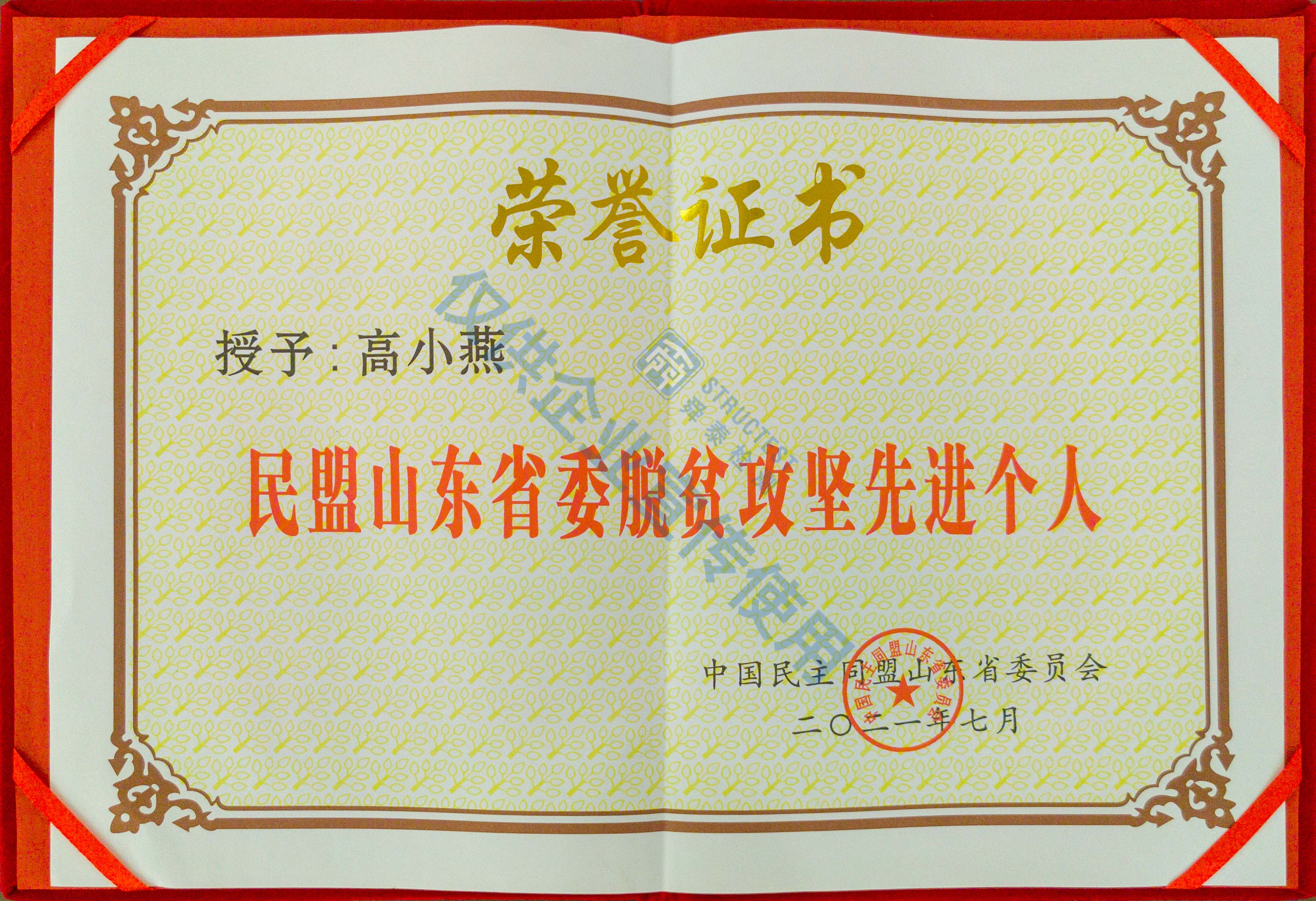 民盟山東省委脫貧攻堅(jiān)先進(jìn)個(gè)人